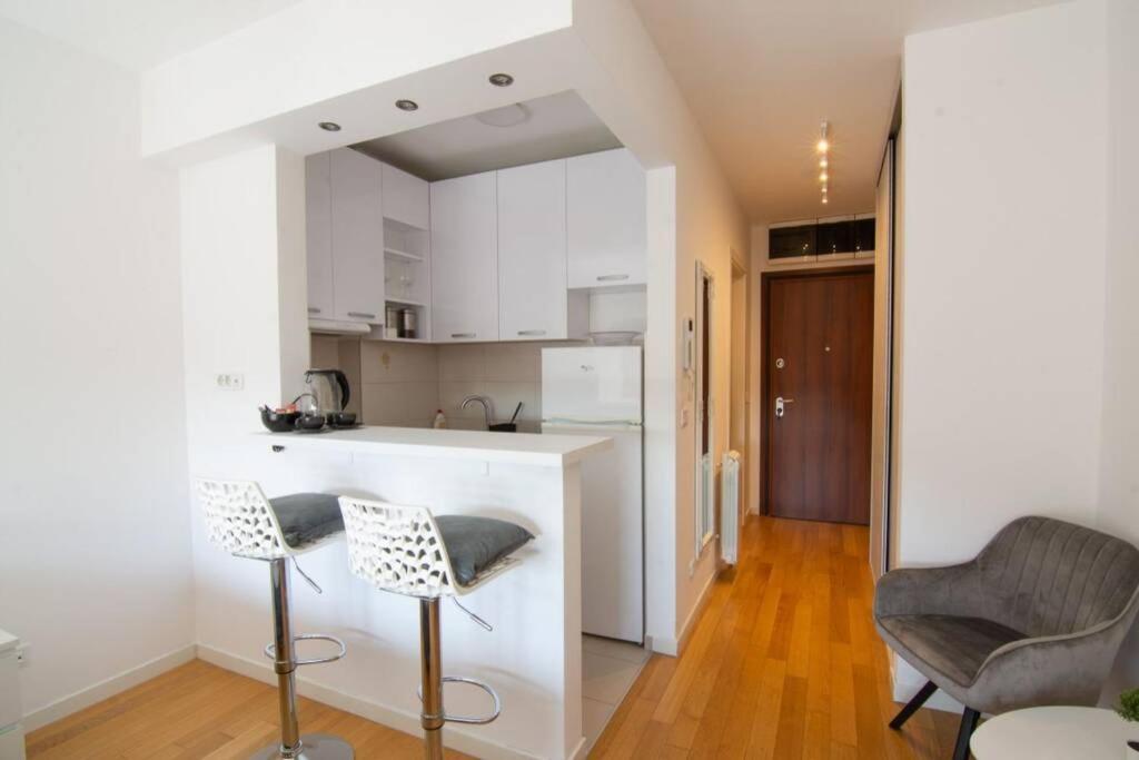 A Blok New Modern - Free Garage Parking, Comfortable, Quiet With A Park View Belgrade Luaran gambar